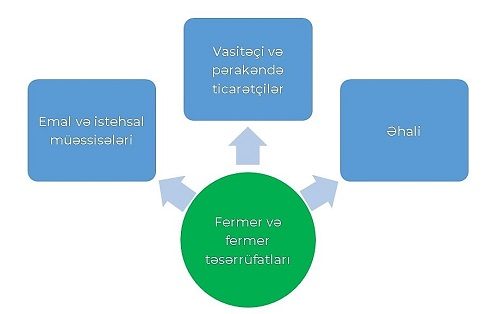 Kənd Təsərrüfatı Marketinqi: Aqrotex Startap Qurucuları Üçün Akademik Və Praktik Yanaşma