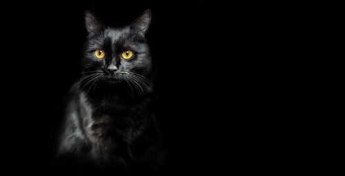 Startaplar üçün Marketinq Kommunikasiya Planı (MKP): Nəzəriyyədən Praktikaya